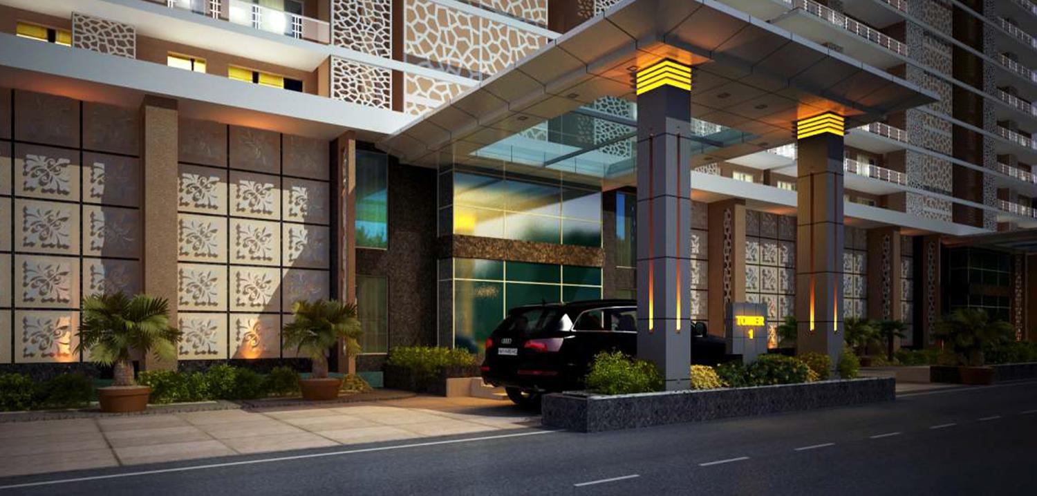 2024-11-19T04-49-37_gall1