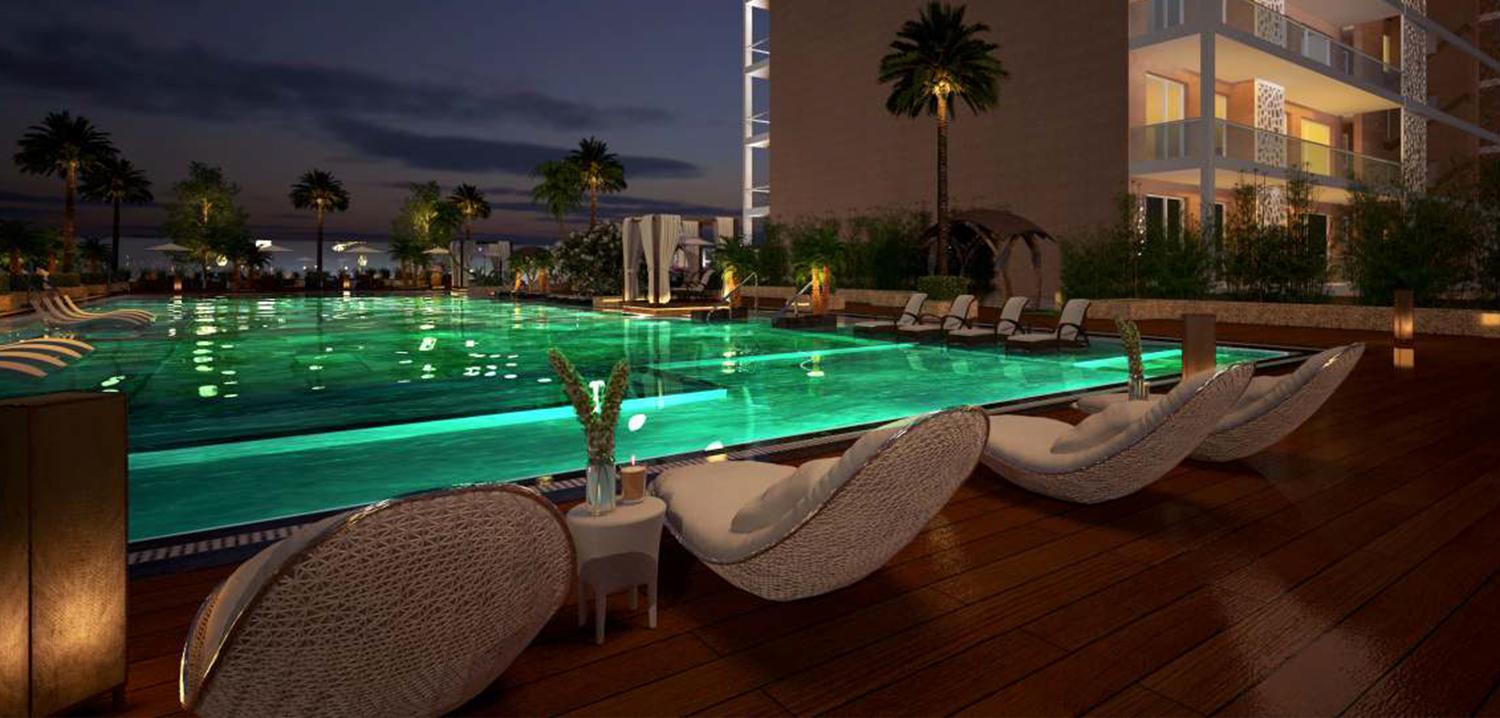 2024-11-19T04-49-39_gall2